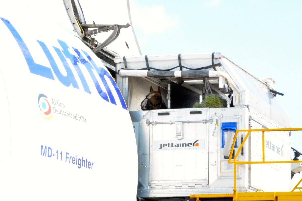 Horse Export Equiflight, LLC