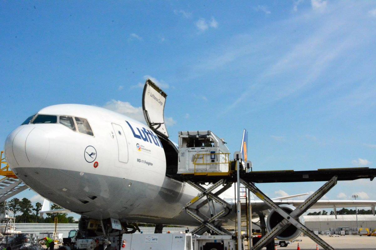 Horse Export Equiflight, LLC